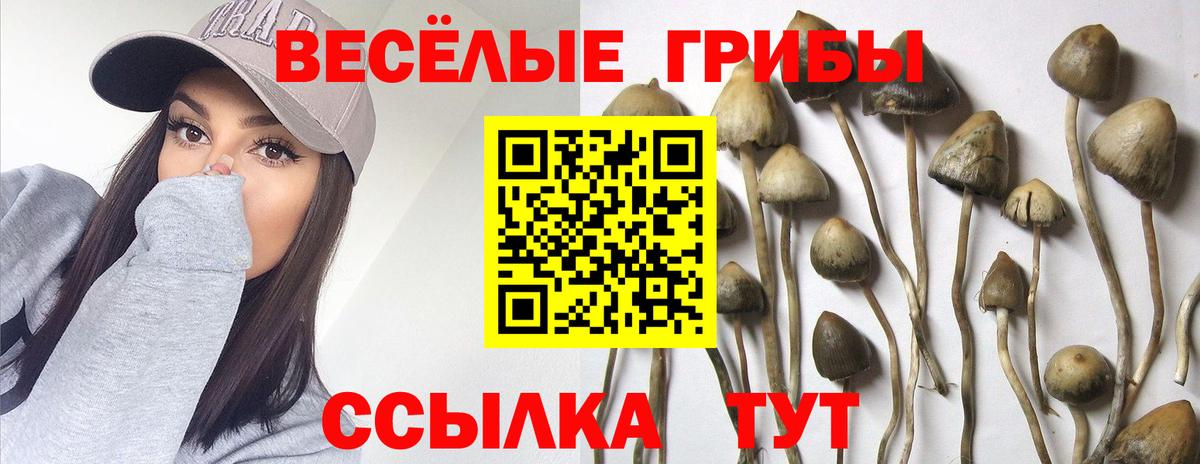 Галлюциногенные грибы Cubensis  Вход с VPN  Краснодар 