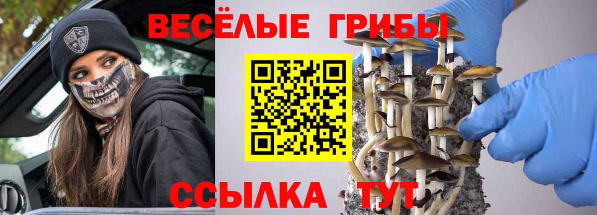 Псилоцибиновые грибы GOLDEN TEACHER Краснодар